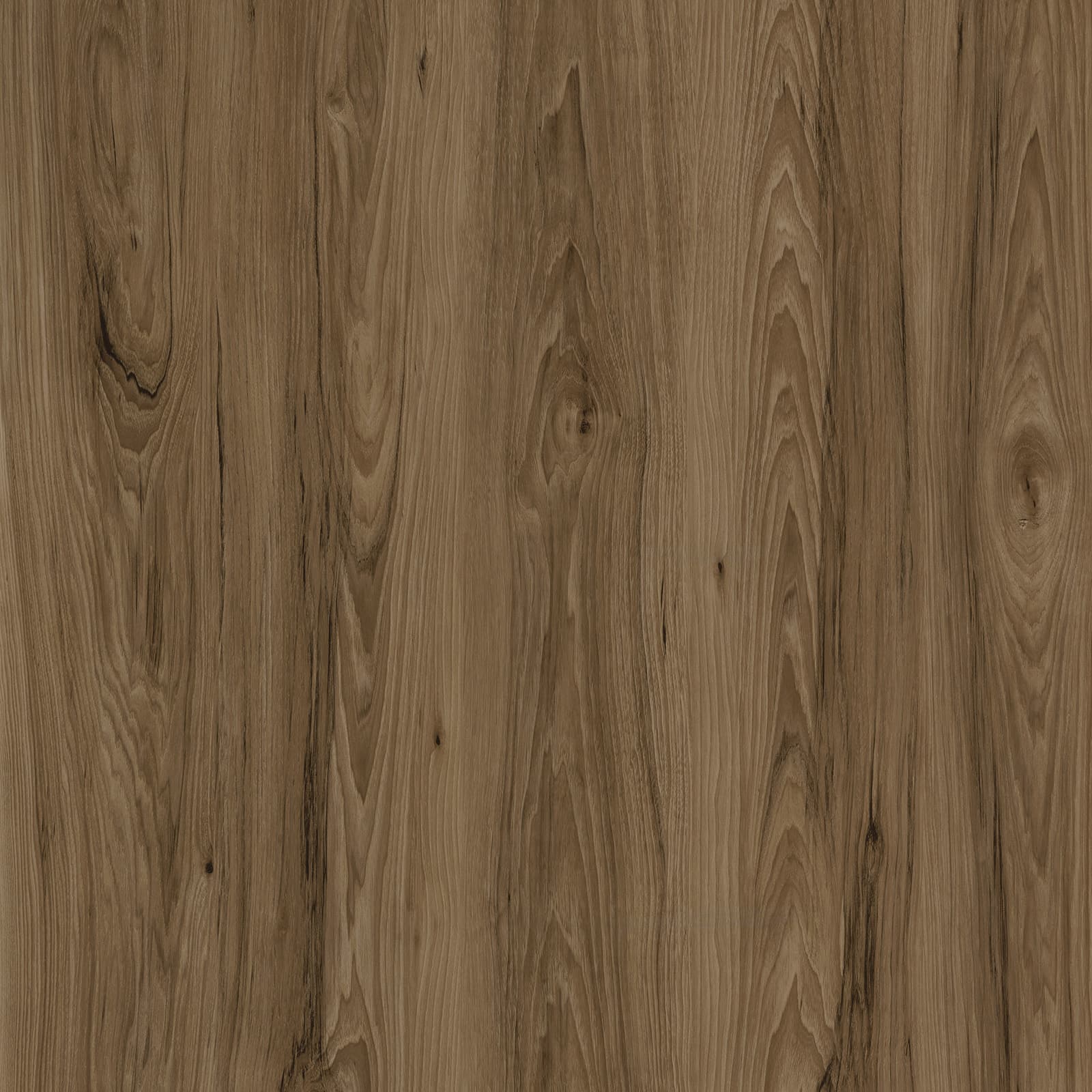 Golden Oak — image 1