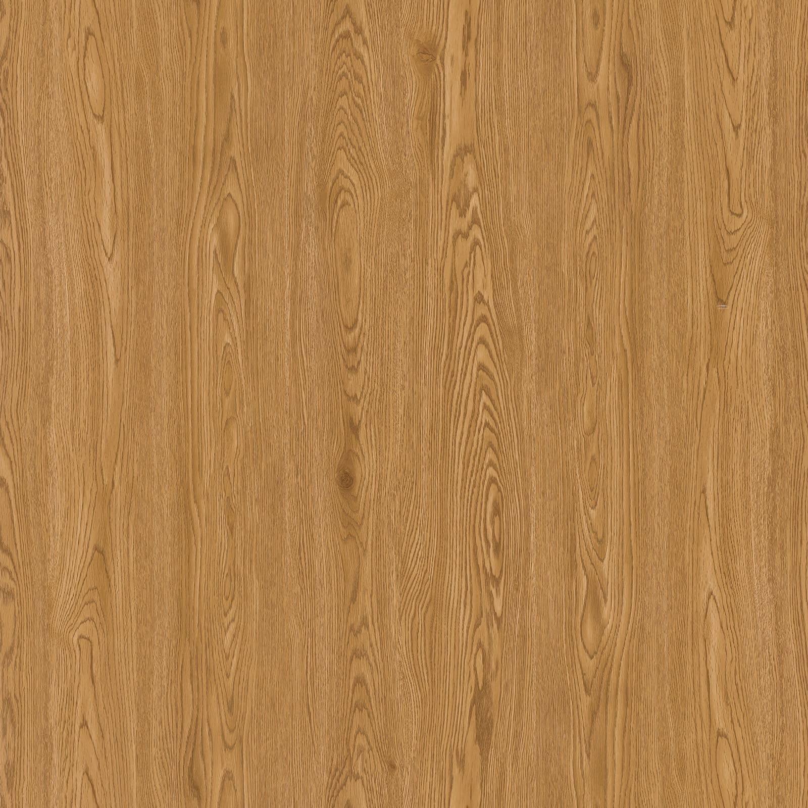 Sunny Oak — image 1