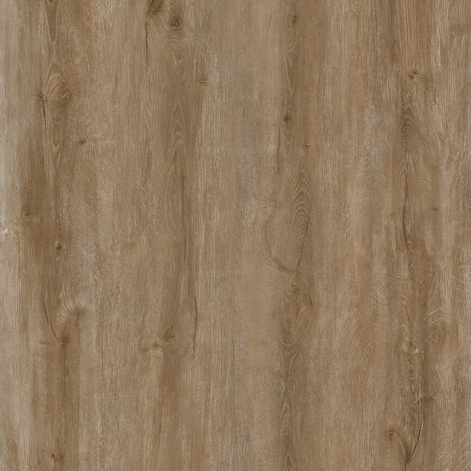 Autumn Oak — image 1