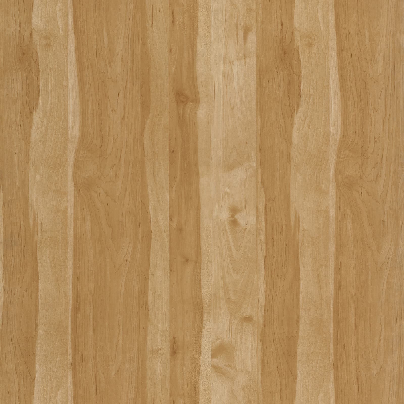 Maple Light — image 1