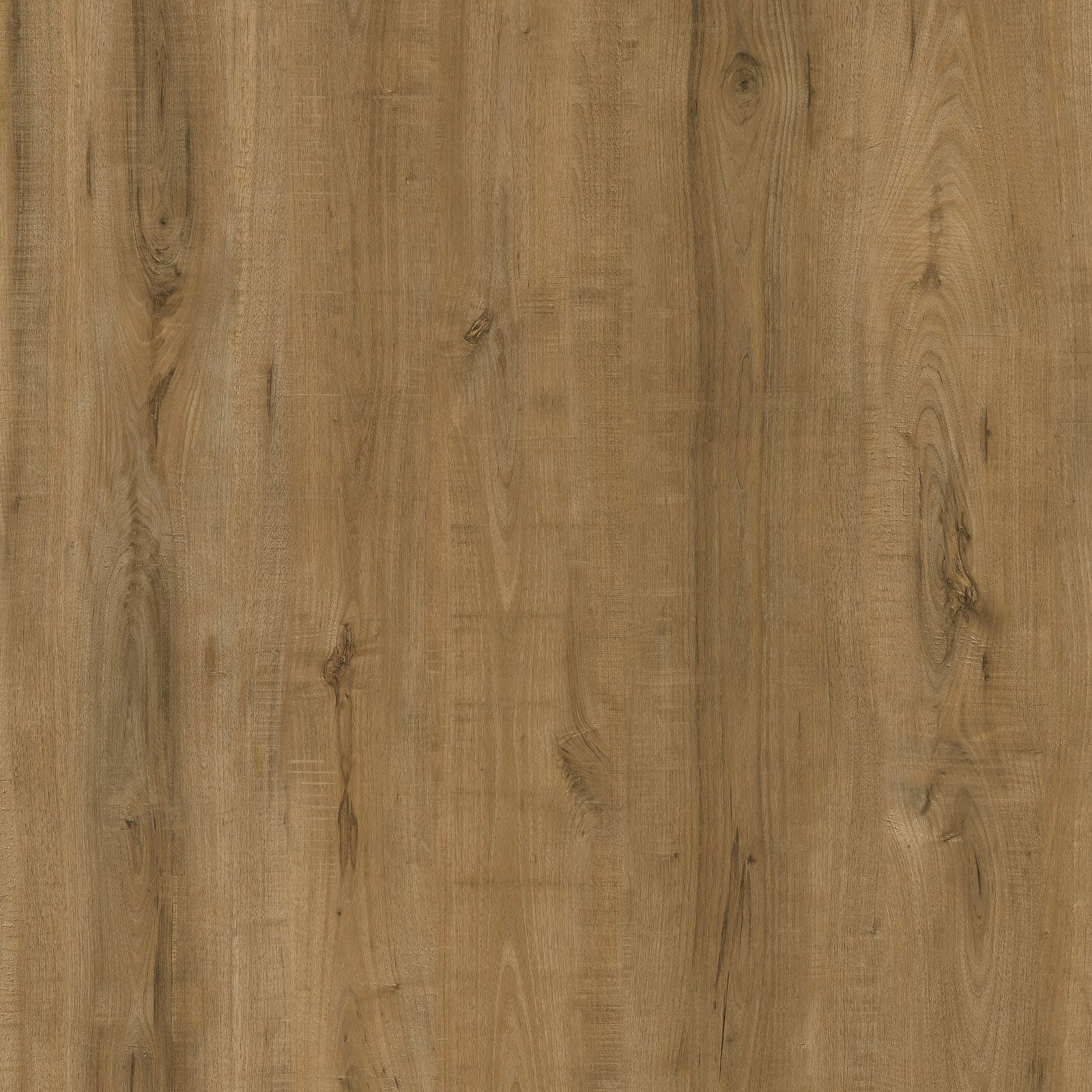Golden Valley — image 1