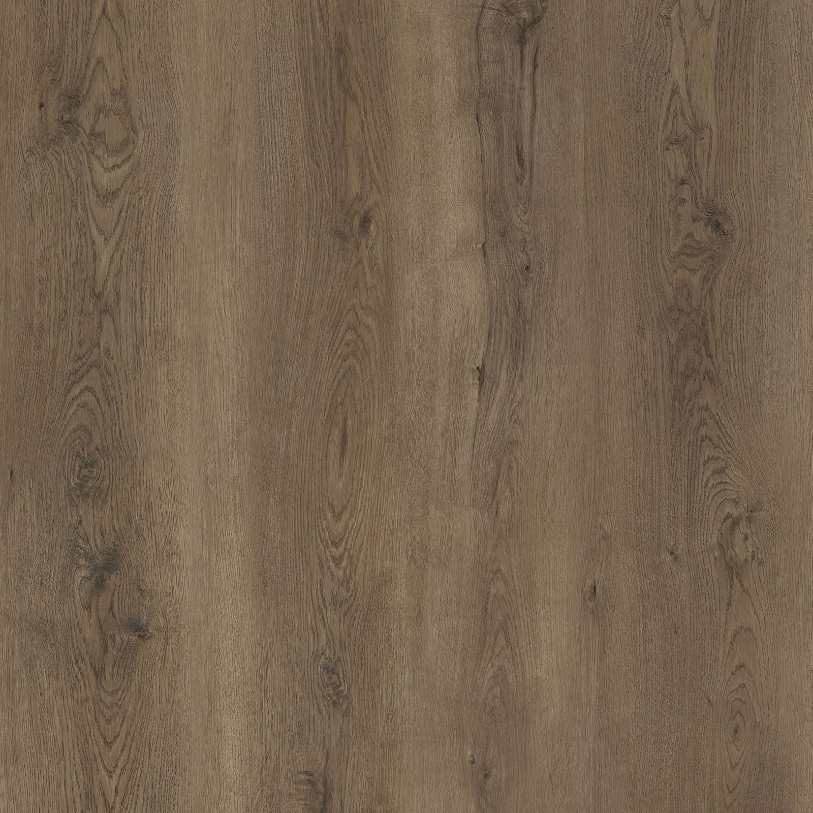 Shabby Cream — image 1