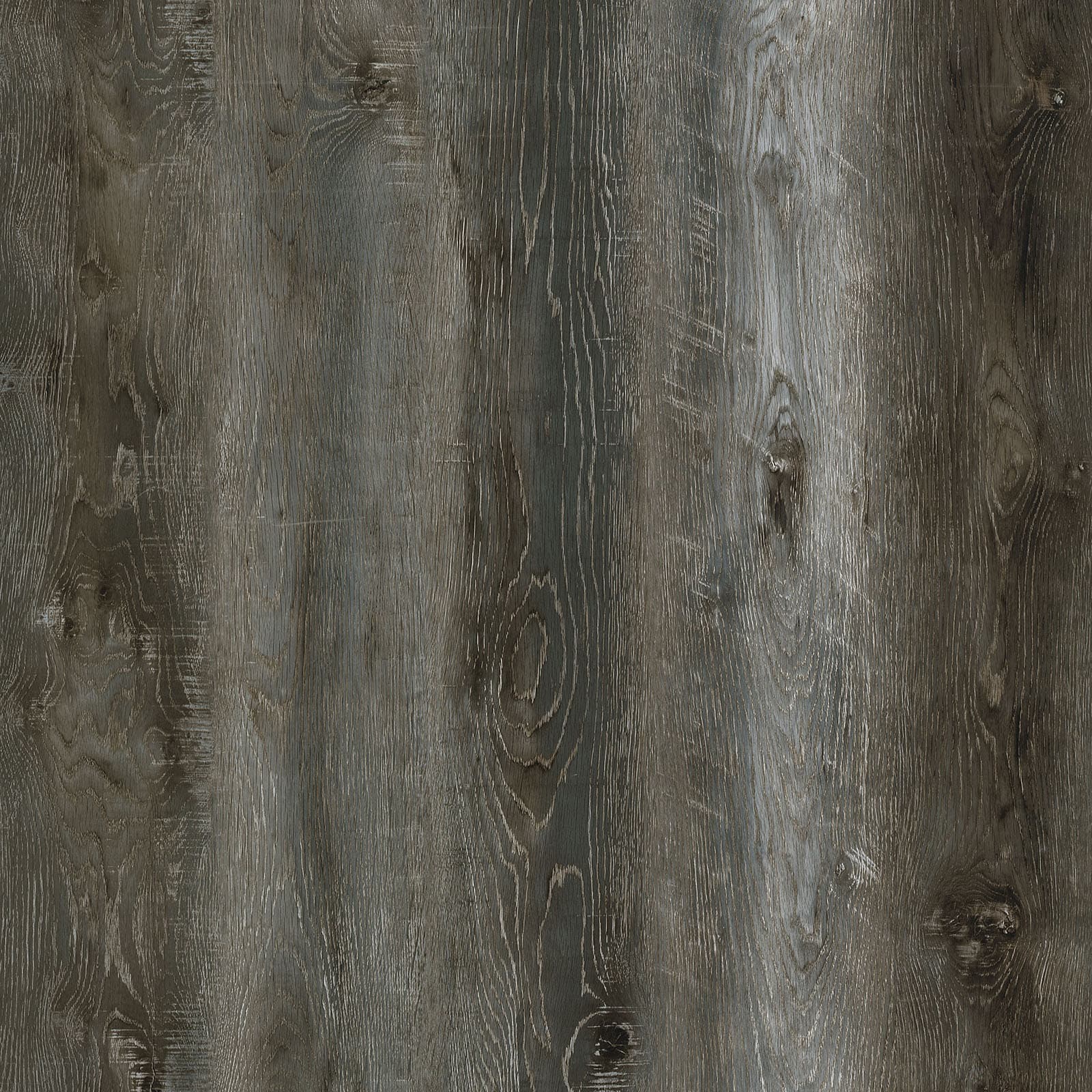 Mystic Jungle — image 1