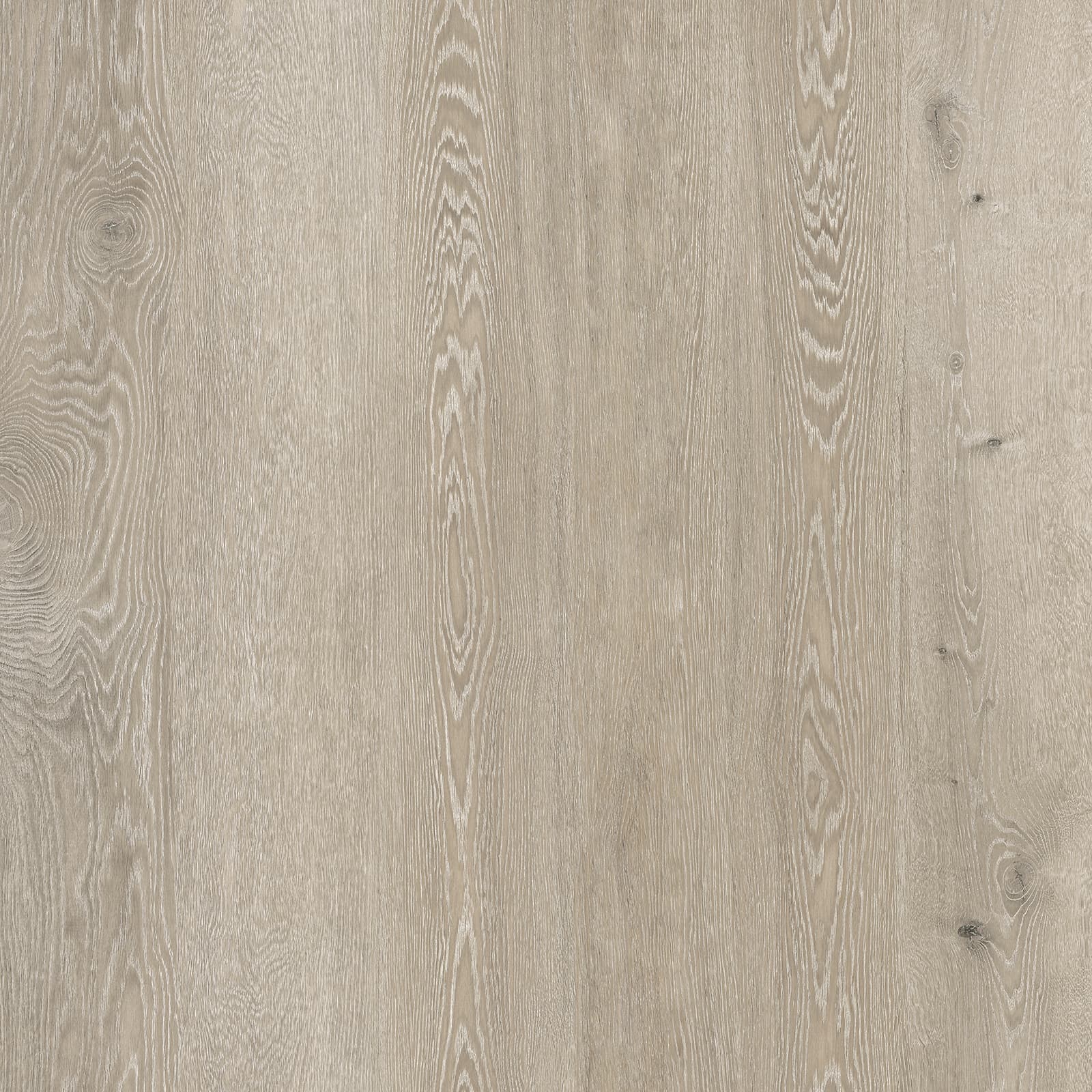 Silver Mist Oak — image 1