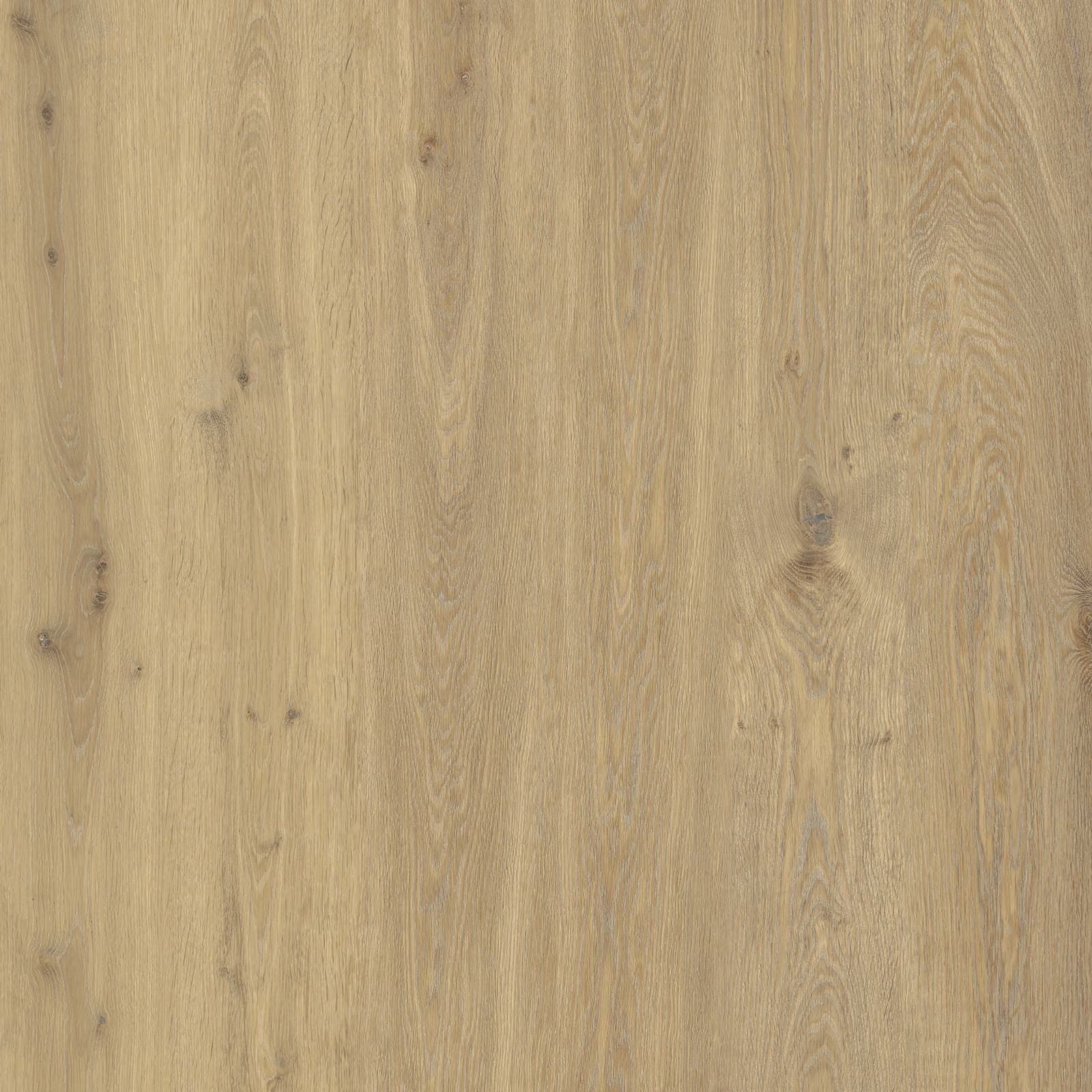 Ivory Dune Oak — image 1