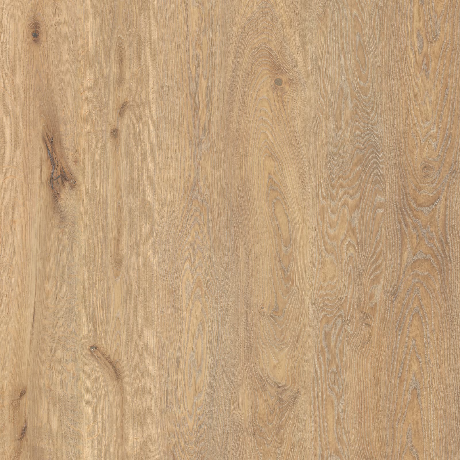 Honey Breeze Oak — image 1