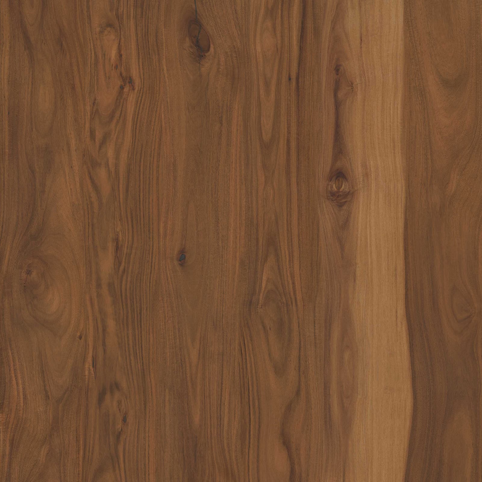 Cove Oak — image 1