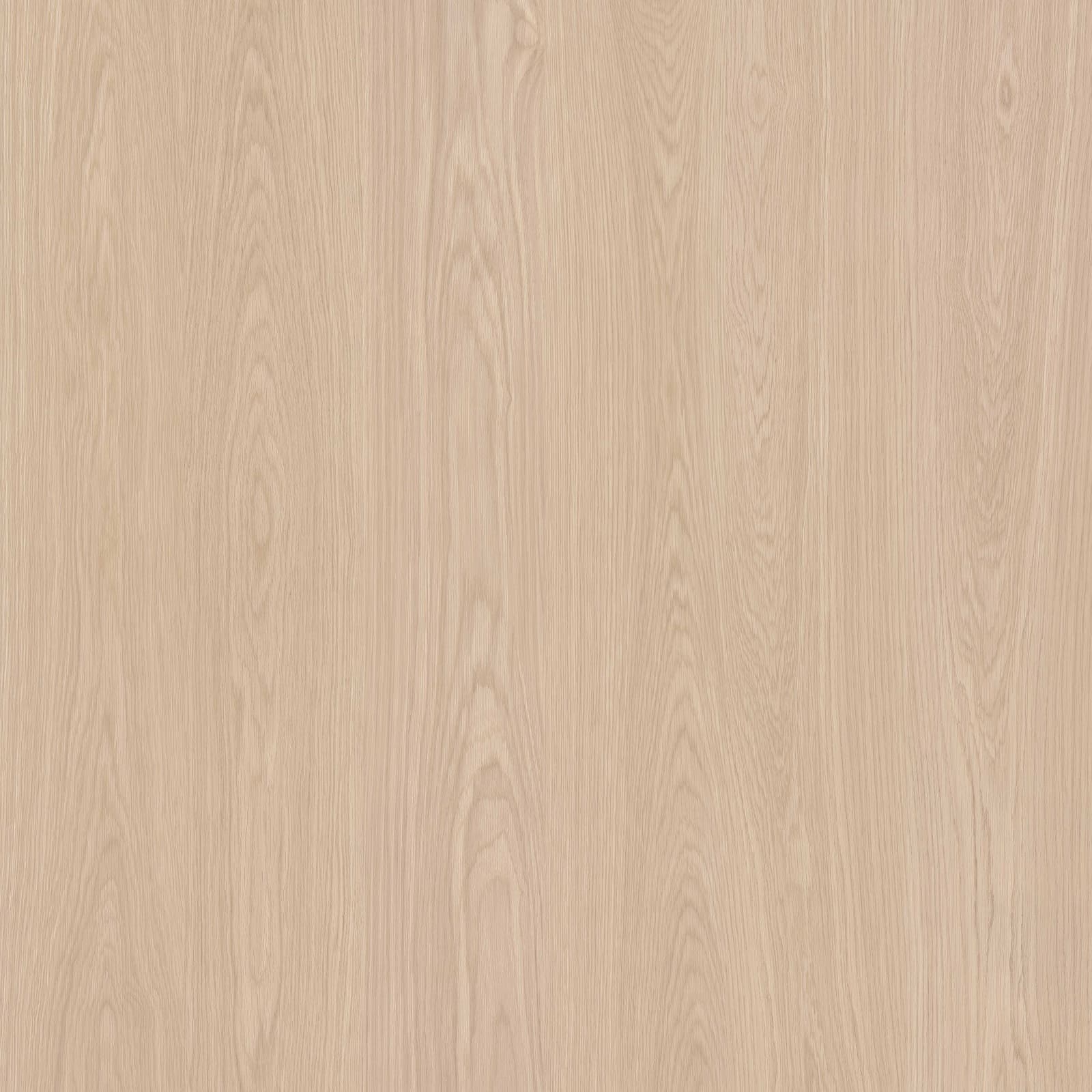 Ellwood Maple — image 1