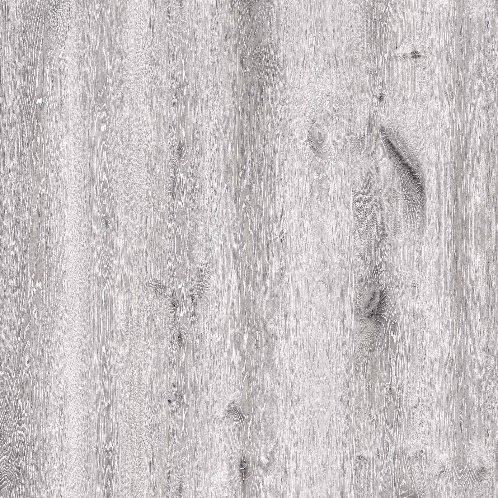 Winter Horn — image 1