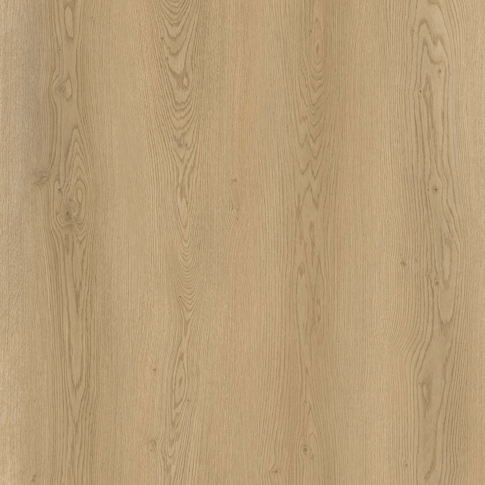 Laurel Forest — image 1