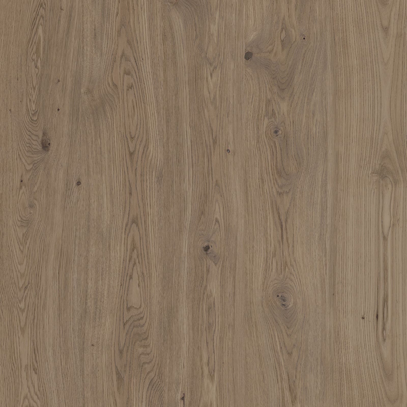 Plain Driftwood — image 1