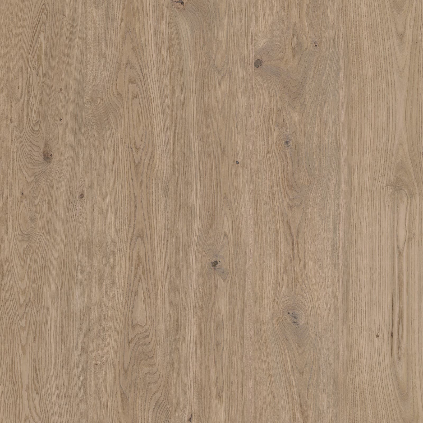 Noon Hickory — image 1