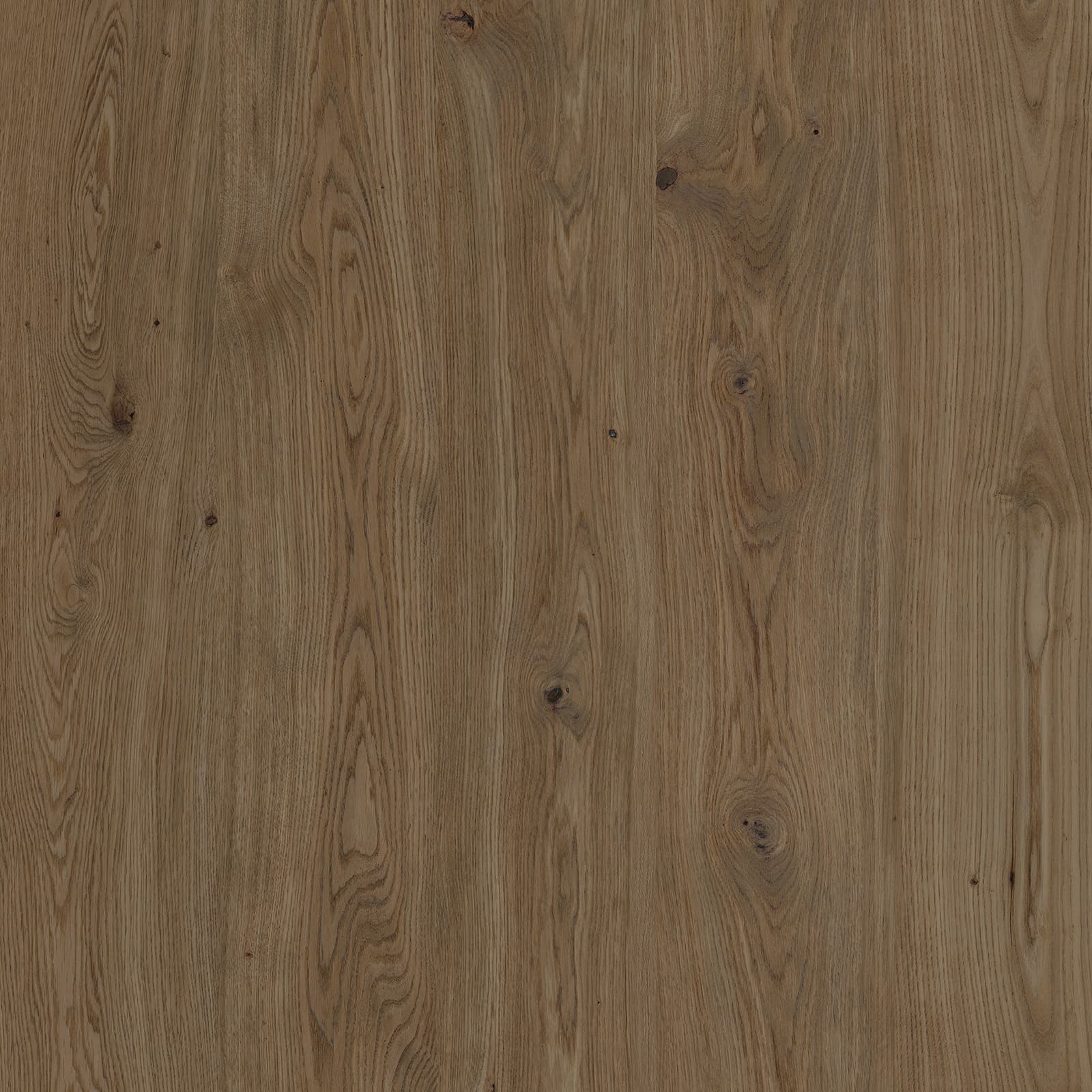 Plain Brown — image 1