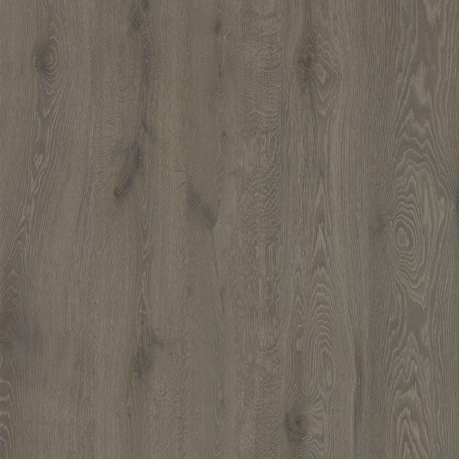 Gray Oak — image 1