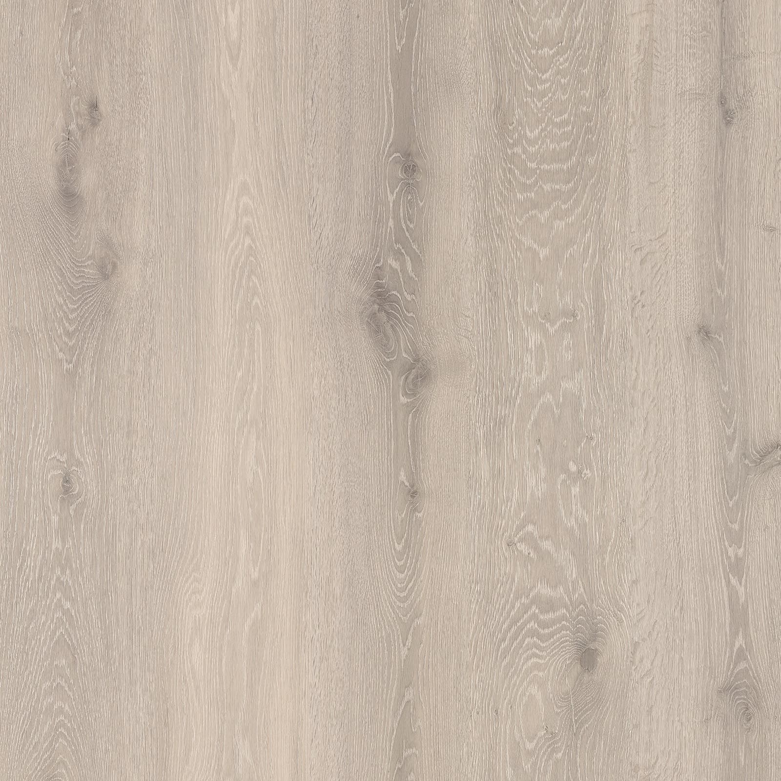 Riftwood Knot — image 1